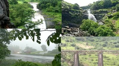 वनराई, पाऊस, धुकं, पक्ष्यांचा किलबिलाट, फेसाळणारे धबधबे; पर्यटकांच्या डोळ्याचं पारणं फेडणारं इगतपुरी!