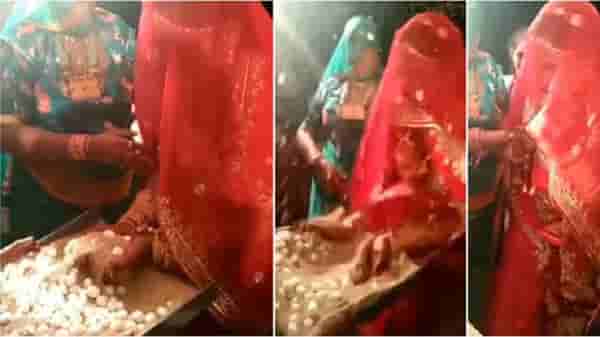 VIDEO : विधींच्या दरम्यान नवरी गोंधळली, नंतर असं काही झालं की हे पाहून नातेवाईक देखील हैराण झाले!