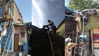 मुंबईत 39,481 ठिकाणी डेंग्यू; तर 7,922 ठिकाणी मलेरियाच्या अळ्या सापडल्या, महापालिकेची माहिती