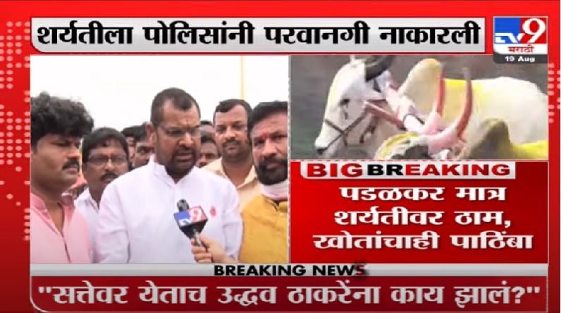 Video | सांगलीतील बैलगाडा शर्यतीला सदाभाऊ खोत यांचा पाठिंबा Video | सांगलीतील बैलगाडा शर्यतीला सदाभाऊ खोत यांचा पाठिंबा