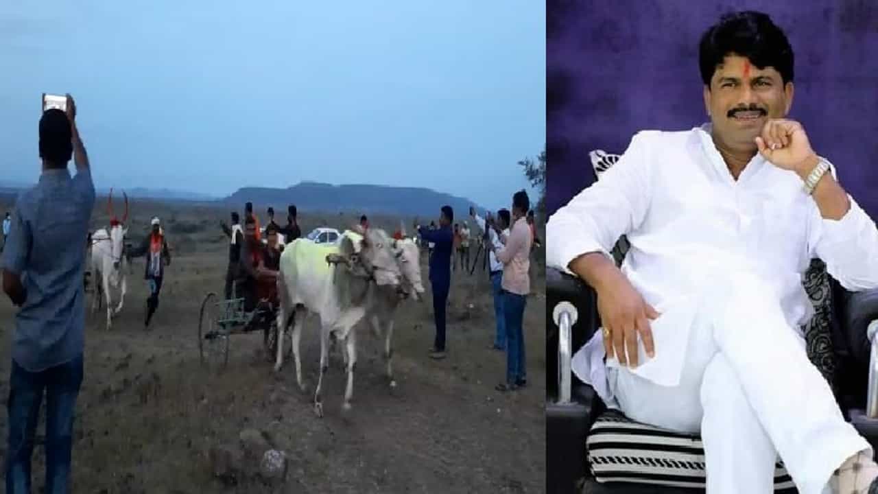 मुख्य मैदानावर पोलिसांचा तगडा बंदोबस्त, रातोरात समर्थकांनी दुसरं मैदान बनवलं, गोपीचंद पडळकरांचा गनिमी कावा यशस्वी!