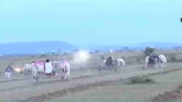 गोपीचंद पडळकर यांच्या बैलगाडा शर्यतीचा EXCLUSIVE VIDEO
