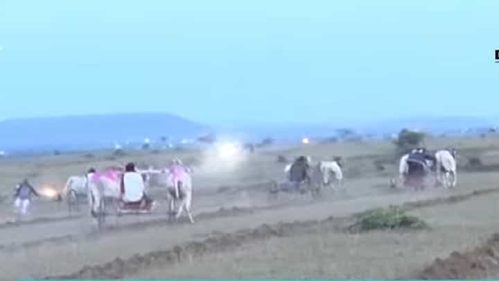 गोपीचंद पडळकर यांच्या बैलगाडा शर्यतीचा EXCLUSIVE VIDEO गोपीचंद पडळकर यांच्या बैलगाडा शर्यतीचा EXCLUSIVE VIDEO