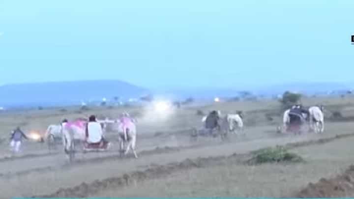 गोपीचंद पडळकर यांच्या बैलगाडा शर्यतीचा EXCLUSIVE VIDEO गोपीचंद पडळकर यांच्या बैलगाडा शर्यतीचा EXCLUSIVE VIDEO