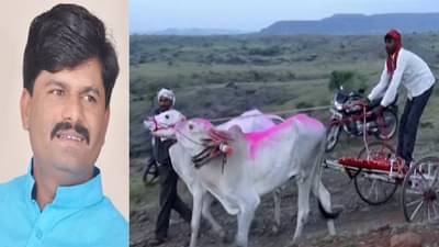 गोपीचंद पडळकरांच्या बैलगाडा शर्यतीत सागर-सुंदर 1 नंबर, बक्षीसाची रक्कम किती?