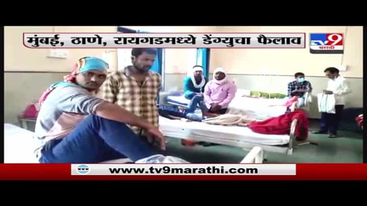 Breaking | राज्यात डेंग्यू, मलेरियाचा धोका वाढला Breaking | राज्यात डेंग्यू, मलेरियाचा धोका वाढला
