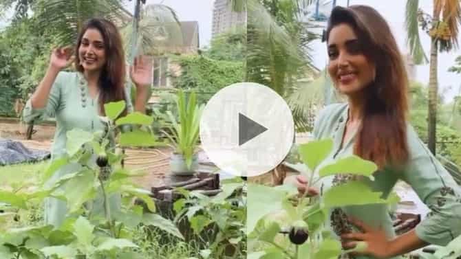 Aai Kuthe Kay Karte : आजचा बेत वांग्याचं भरीत, ‘आई कुठे काय करते’ मालिकेच्या सेटवर फुलली फळबाग; संजनासोबत करुया खास सफर