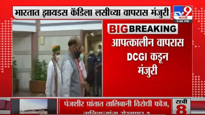 Breaking | भारतात झायडस कॅडिला लसीच्या वापरास मंजुरी, आपत्कालीन वापरास DCGI कडून मंजुरी Breaking | भारतात झायडस कॅडिला लसीच्या वापरास मंजुरी, आपत्कालीन वापरास DCGI कडून मंजुरी