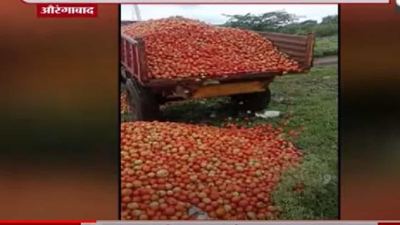 VIDEO : औरंगाबादच्या शेतकऱ्याने ट्रॉलीभर टोमॅटो रस्त्यावर फेकले