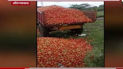 VIDEO : औरंगाबादच्या शेतकऱ्याने ट्रॉलीभर टोमॅटो रस्त्यावर फेकले