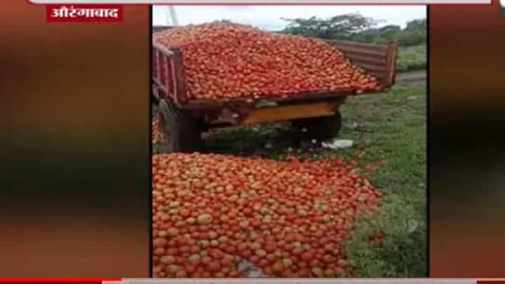 VIDEO : औरंगाबादच्या शेतकऱ्याने ट्रॉलीभर टोमॅटो रस्त्यावर फेकले VIDEO : औरंगाबादच्या शेतकऱ्याने ट्रॉलीभर टोमॅटो रस्त्यावर फेकले