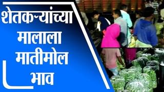 PM-Kusum Scheme : आता सरकारला वीज विकून पैसे कमवतील शेतकरी, जाणून घ्या किती असेल दर