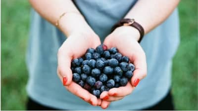 Skin Care : ब्ल्यूबेरी आपल्या त्वचेसाठी अत्यंत फायदेशीर, वाचा याबद्दल अधिक! 