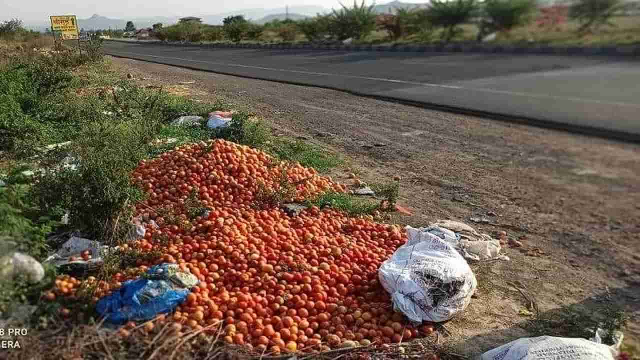 लाल चिखल, दर पडल्यानं रस्त्याकडेला टोमॅटोचा सडा, शेतकऱ्यांना हमीभाव कधी मिळणार?