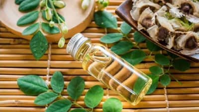 Benefits Of Moringa Oil : त्वचा आणि केसांसाठी शेवग्याचे तेल अत्यंत फायदेशीर!