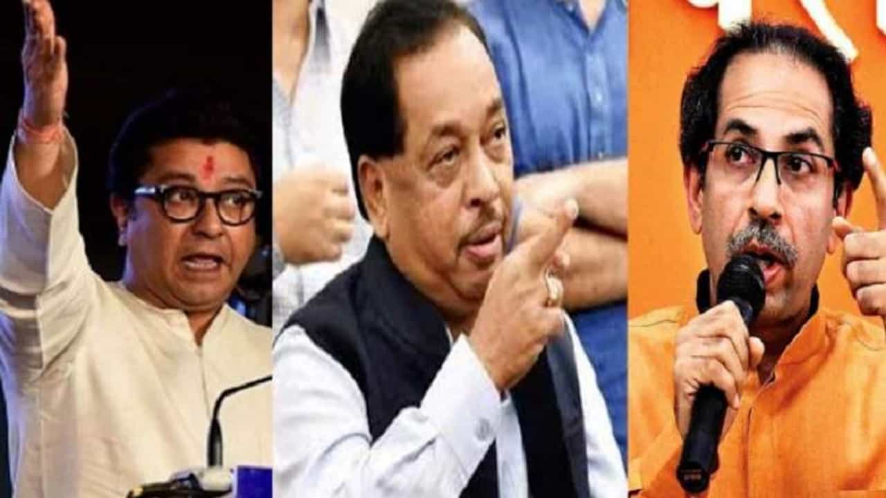 नारायण राणे म्हणाले, मुख्यमंत्र्यांच्या कानाखाली खेचली असती, आता राज ठाकरेंची पहिली प्रतिक्रिया