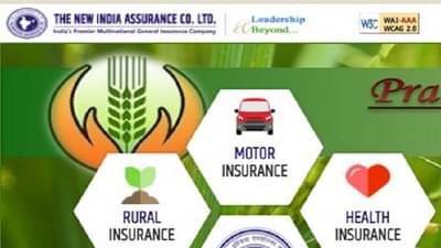 NIACL Recruitment 2021: न्यू इंडिया अॅश्युरन्स कंपनीमध्ये 300 पदांवर भरती, अर्ज करण्यासाठी वाचा सविस्तर