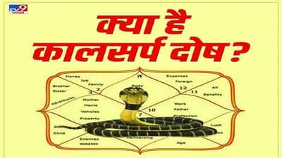 Kaal Sarp Dosh Remedies : जन्मपत्रिकेत कालसर्प दोष असल्यास अवश्य करा हे उपाय, सर्व समस्या होतील दूर