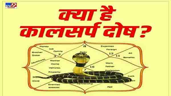 Kaal Sarp Dosh Remedies : जन्मपत्रिकेत कालसर्प दोष असल्यास अवश्य करा हे उपाय, सर्व समस्या होतील दूर