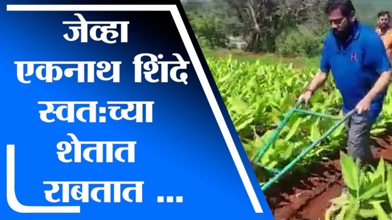 Eknath Shinde | गावी परतल्यानंतर एकनाथ शिंदेंचा शेतात काम करतानाचा व्हिडीओ व्हायरल