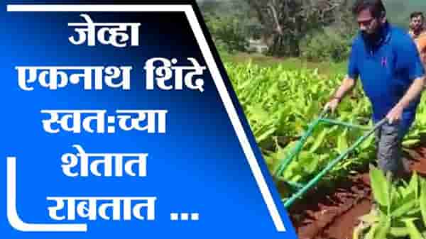 Eknath Shinde | गावी परतल्यानंतर एकनाथ शिंदेंचा शेतात काम करतानाचा व्हिडीओ व्हायरल