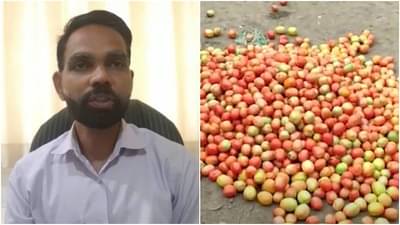 राजकारण थांबवून शेतकऱ्यांना दिलासा द्या, अन्यथा सत्ताधारी-विरोधकांच्या दारात टॉमेटो ओतणार : किसान सभा