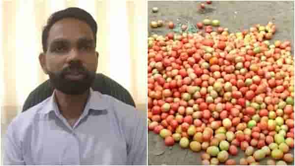 राजकारण थांबवून शेतकऱ्यांना दिलासा द्या, अन्यथा सत्ताधारी-विरोधकांच्या दारात टॉमेटो ओतणार : किसान सभा