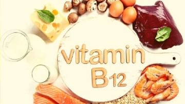 Vitamin B12 Deficiency : शरिरासाठी व्हिटॅमिन बी 12 महत्वाचे शाकाहारी लोकांनी त्याची कमतरता कशी दूर करावी, वाचा याबद्दल सविस्तर!