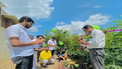 औरंगाबादच्या बर्थ डे ची सगळीकडे चर्चा, झाडांच्या पहिल्या वाढदिवसाला सेंद्रीय खतांचा यम्मी केक