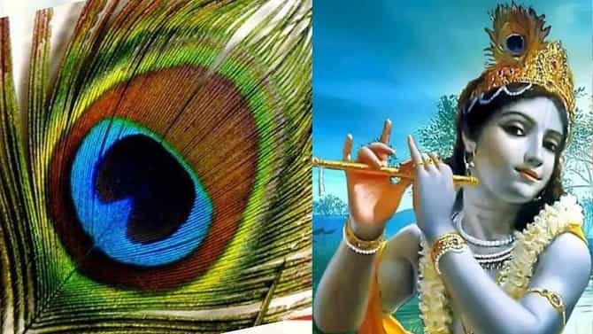 Janmashtami 2021 | गोकुळाष्टमीच्या दिवशी मोर पीसचे हे उपाय दूर करतील सर्व समस्या