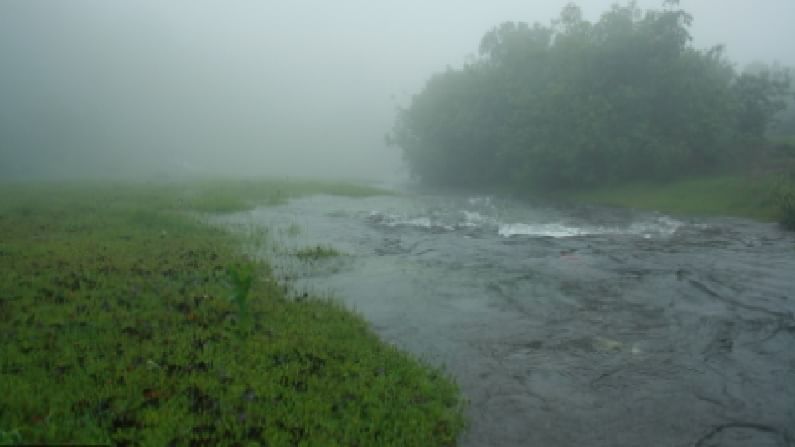 सात जणांची नावं, सुसाईड नोट सेफ्टी पिनने गाठोड्याला अडकवली, कोल्हापुरात महिलेची नदीत आत्महत्या