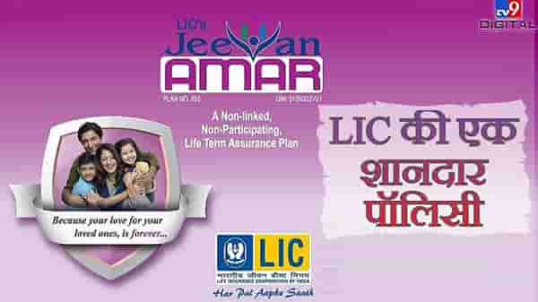 LIC ची जीवन अमर पॉलिसी, फीचर्स चेक करा, तुमच्यासाठी किती फायदेशीर?
