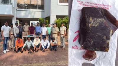सोन्याचा भाव देणारी व्हेल माशाची उलटी, वन विभागाच्या चतुराईने पुण्याचे सहा जण असे सापडले