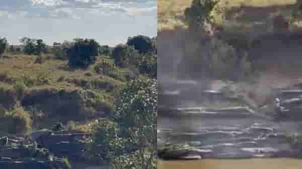 Video | माकडांचे रौद्र रुप पाहून चांगलाच घाबरला, बिबट्याने ठोकली धूम, व्हिडीओ एकदा पाहाच !