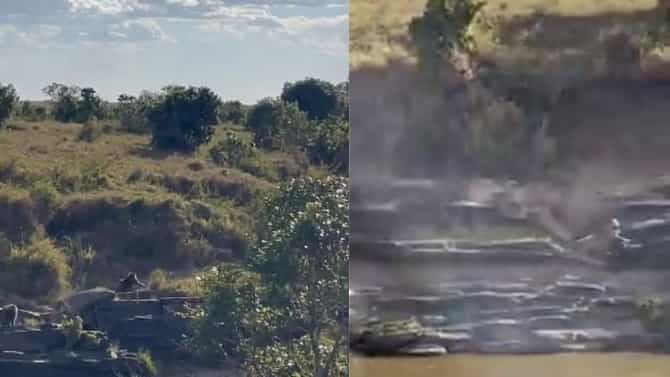 Video | माकडांचे रौद्र रुप पाहून चांगलाच घाबरला, बिबट्याने ठोकली धूम, व्हिडीओ एकदा पाहाच !