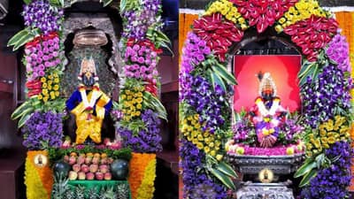 PHOTO | गोकुळाष्टमी निमित्ताने श्री विठ्ठल रुक्मिणी मंदिर फळाफुलांनी सजले