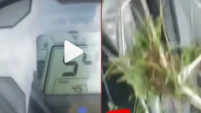 VIDEO: माझे दोन दातं तुटलं, मोबाईल पण गेला, आता आईपण मारेल; हा व्हायरल व्हीडिओ पाहिलात का?