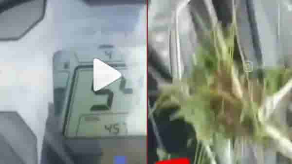 VIDEO: माझे दोन दातं तुटलं, मोबाईल पण गेला, आता आईपण मारेल; हा व्हायरल व्हीडिओ पाहिलात का?