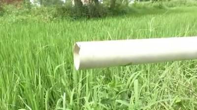 भंडारा जिल्ह्यातील कृषी पंपधारकांची वीज कापली; धानाला पाणी कसं द्यायचं, शेतकऱ्यांसमोर प्रश्न