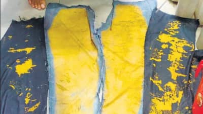 VIRAL: पिवळी झालेली पँट घेऊन प्रवासी विमानतळावर उतरला, तपासणीनंतर समोर आलं धक्कादायक सत्य