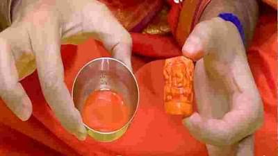 Shwetark Ganpati : श्वेतार्क गणपतीची पूज केल्यास सर्व इच्छा होतील पूर्ण, जाणून घ्या पूजेचा विधी आणि उपाय