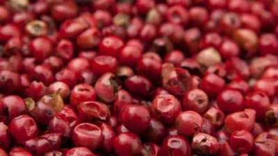 Skin care Tips : जर तुम्हालाही चमकदार त्वचा हवी असेल तर बेरी अवश्य खा!