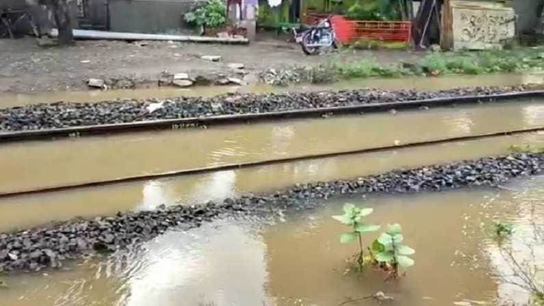 नंदुरबारला यलो ॲलर्ट, शेतकऱ्यांना दमदार पावसाची प्रतीक्षा; धुळ्यात रात्रभर मुसळधार, रेल्वे रुळ पाण्यात