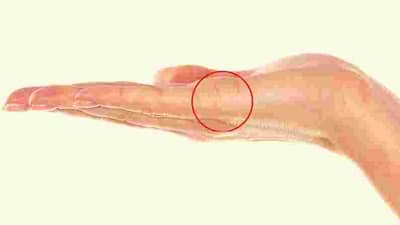 तळहातावरील रेषा सांगतात कसे असेल वैवाहिक जीवन, कोणाच्या आयुष्यात होईल दुसरे लग्न