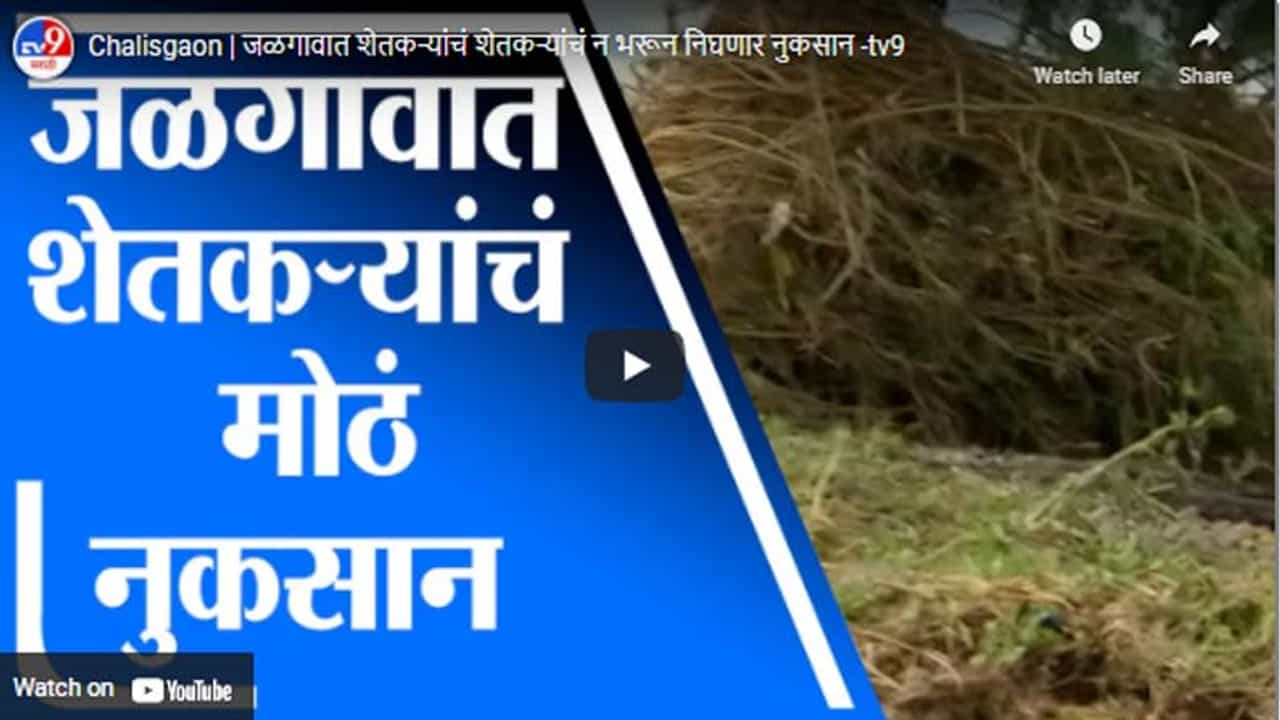 Chalisgaon | जळगावात शेतकऱ्यांचं शेतकऱ्यांचं न भरून निघणार नुकसान Chalisgaon | जळगावात शेतकऱ्यांचं शेतकऱ्यांचं न भरून निघणार नुकसान