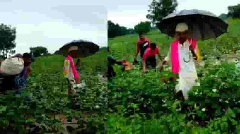 VIDEO : वादळ असो ,पूर असो किंवा असो पाऊस, लगीन तर होणारच, औरंगाबादच्या पठ्ठ्याचा प्रवास बघा