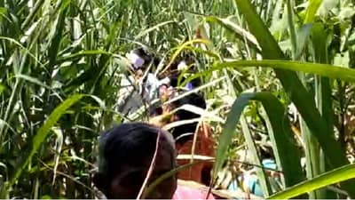 बेलफुल वाटणाऱ्या आजी अचानक बेपत्ता, दोन दिवसांनी ऊसाच्या शेतात मृतदेह, यवतमाळमध्ये खळबळ