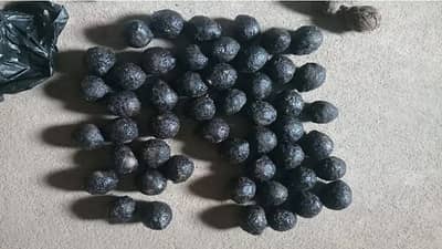 गणेशोत्सव तोंडावर, रत्नागिरीत एका घरात तब्बल 18 जिवंत गावठी बॉम्ब, आरोपीचा नेमका कट काय?