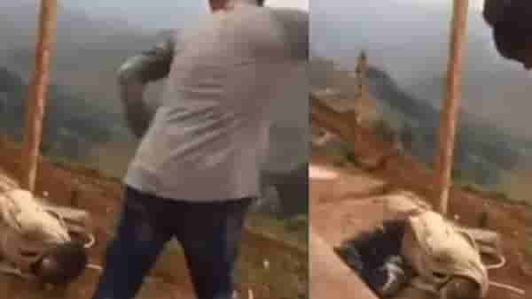 Video | अमानुषतेचा कळस ! खांबाला बांधून कर्मचाऱ्याला मारहाण, विदारक व्हिडीओ व्हायरल