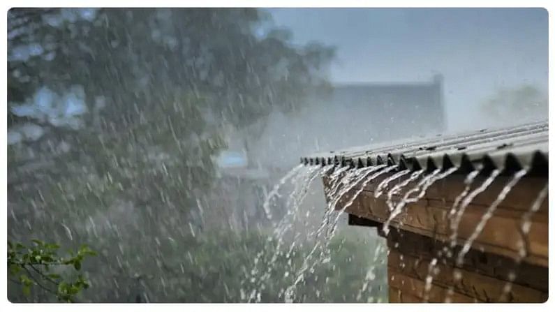 Nashikweather: नाशिक जिल्हा, खान्देशात पाऊस आजही जोरदार बॅटींग करण्याची शक्यता